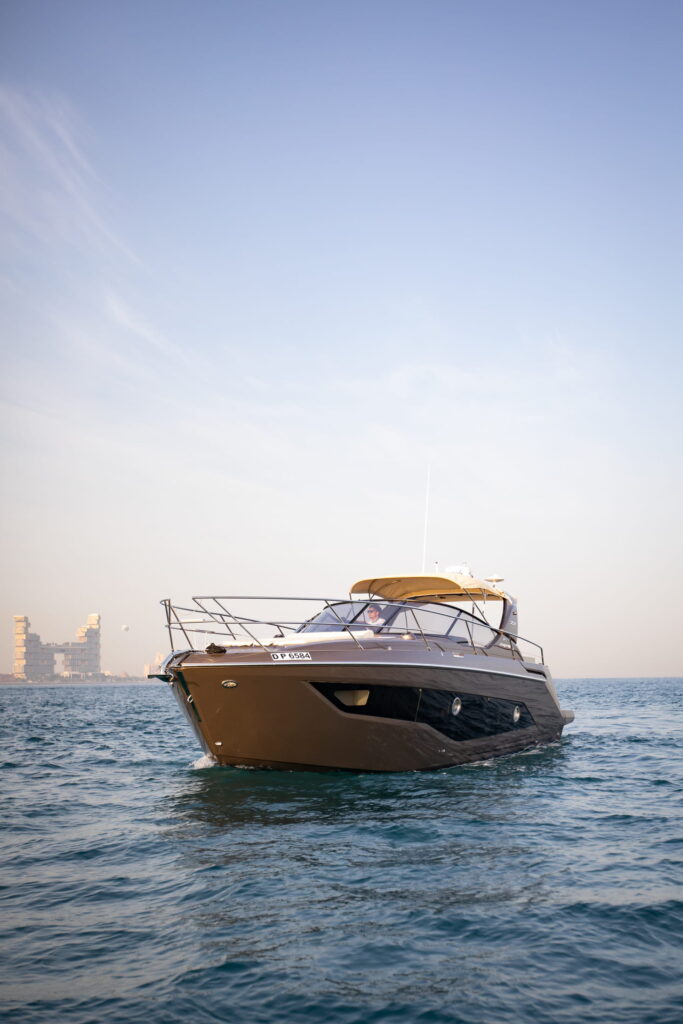 Z35 - gallery image 7